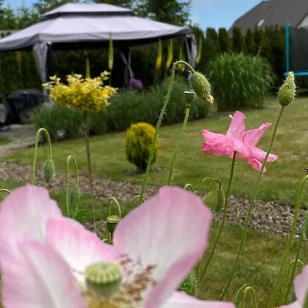 Letnia Przystan -dom Blisko Morza Lebcz