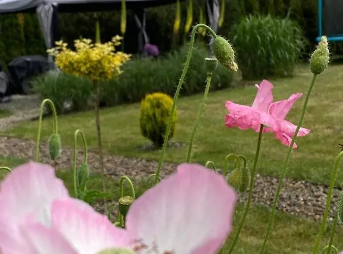 Letnia Przystan -dom Blisko Morza Lebcz